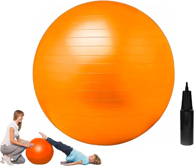 Gym fashion stability ball